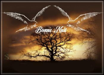 bonne nuit oiseaux et arbre